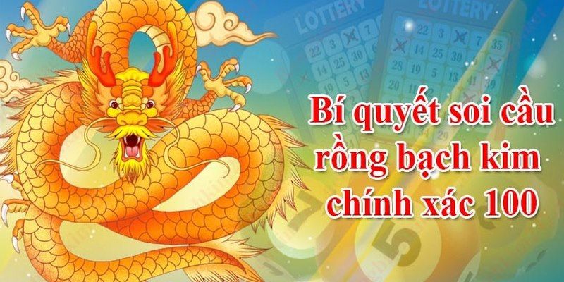 Bí quyết soi cầu rồng bạch kim hiệu quả